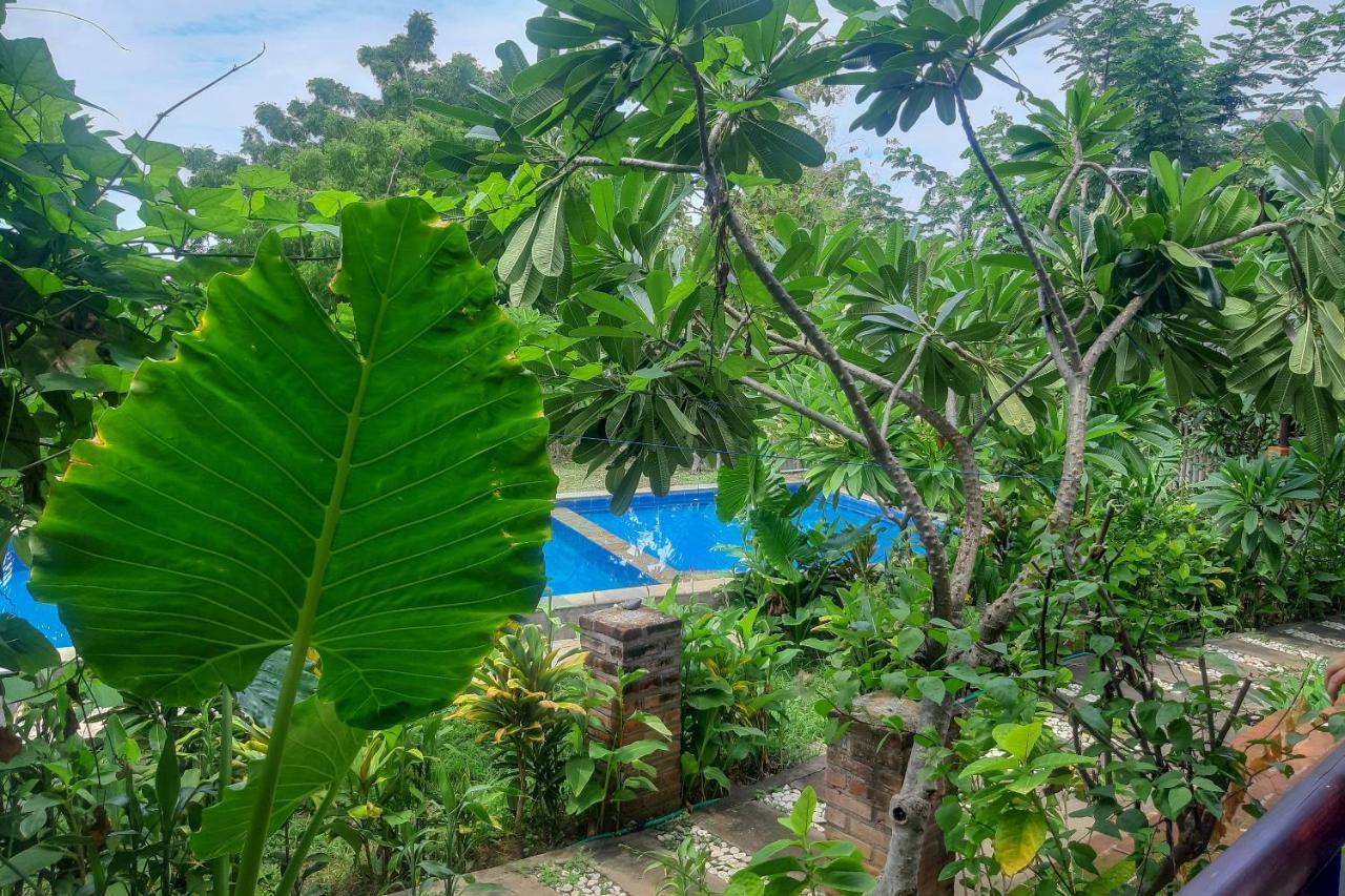 Oyo 3070 Villa Lovina Eco Lodge Esterno foto